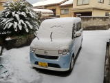 雪をかぶった車